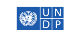undp